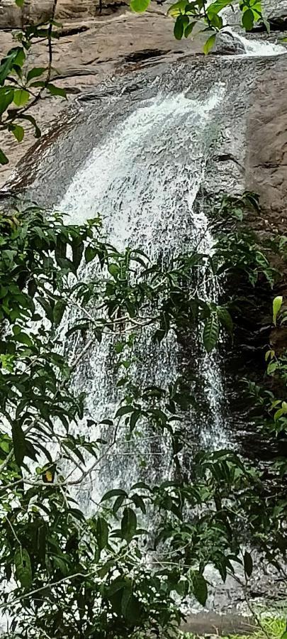 4 Acre Woods Farm Stay مونار المظهر الخارجي الصورة